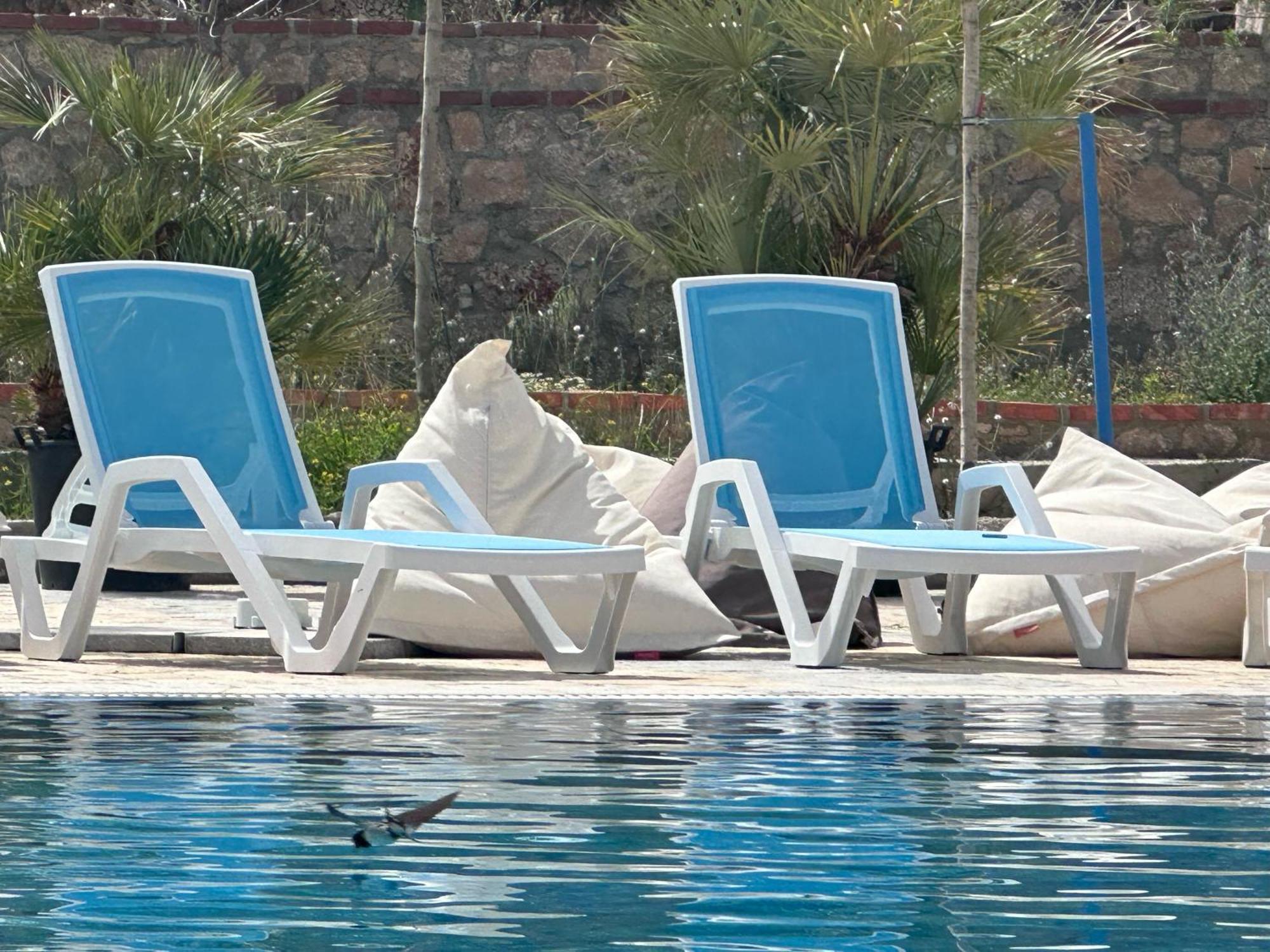 Exclusive Greccia Inn דרמי חדר תמונה