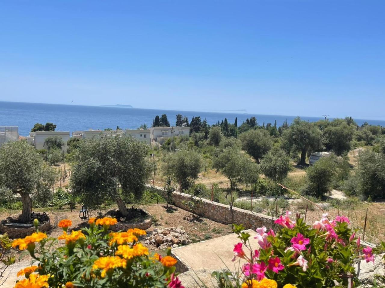 Exclusive Greccia Inn דרמי מראה חיצוני תמונה