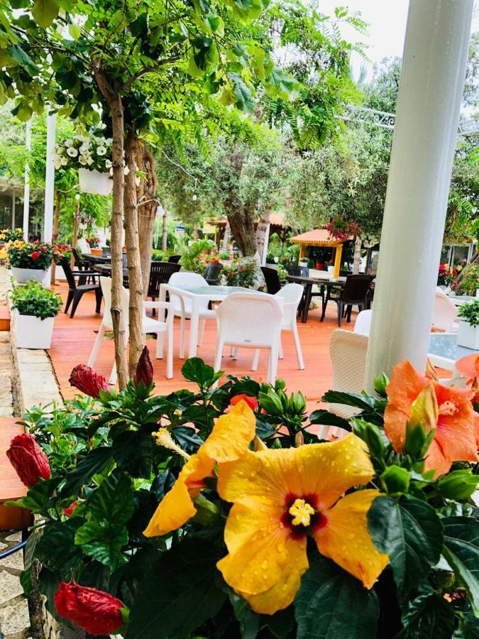 Exclusive Greccia Inn דרמי מראה חיצוני תמונה